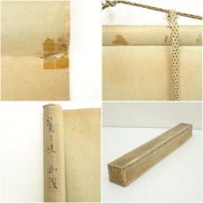 画像9: 野沢堤雨筆　鶯に蛙　肉筆紙本掛軸（保護箱） (9)