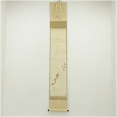 画像1: 千葉胤明筆　老松　肉筆絹本掛軸（共箱） (1)