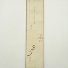 画像2: 千葉胤明筆　老松　肉筆絹本掛軸（共箱） (2)