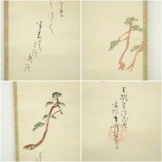 画像6: 千葉胤明筆　老松　肉筆絹本掛軸（共箱） (6)