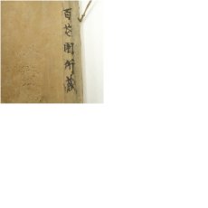 画像13: 江戸中期　曹洞宗　指月慧印賛　達磨図　肉筆紙本掛軸（保護箱） (13)