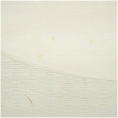 画像5: 明治〜大正期　真年筆　御狩風　和歌　肉筆紙本掛軸　□z (5)